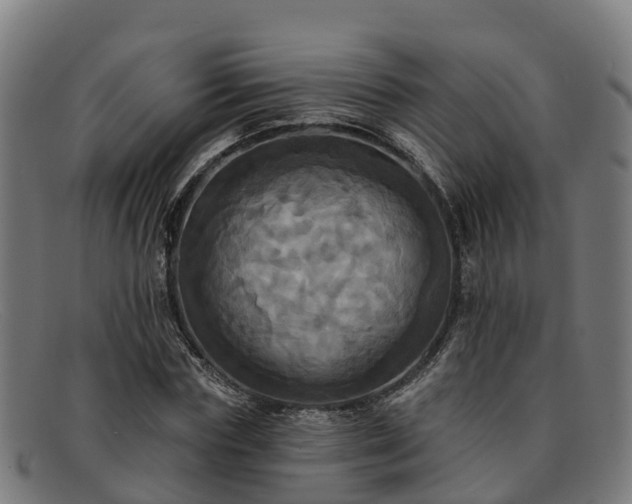 X0000091910827200709121515