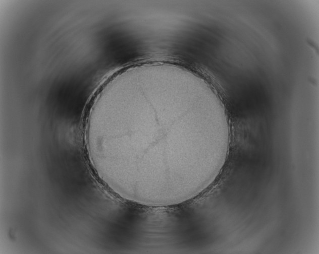 X0000091910828200709121515