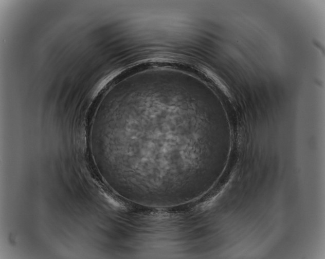 X0000091910829200709121515