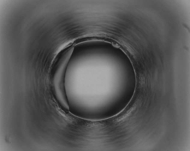 X0000091910830200709121515