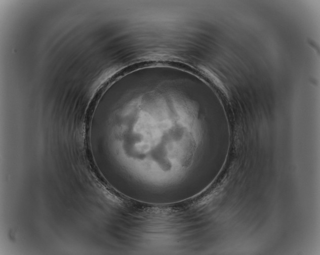 X0000091910831200709121515