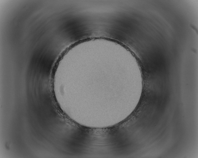 X0000091910832200709121515