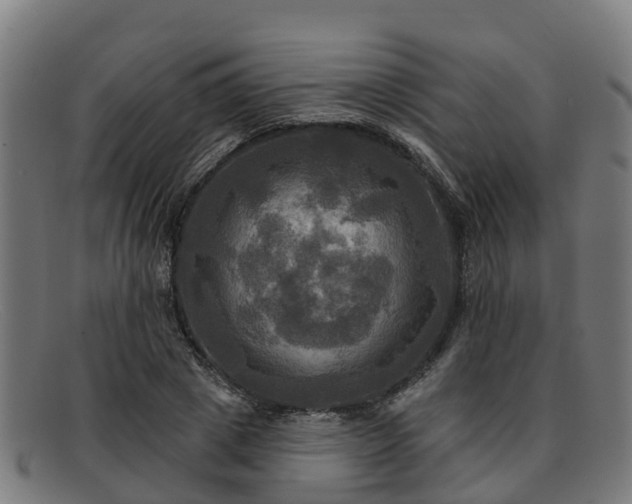 X0000091910833200709121515