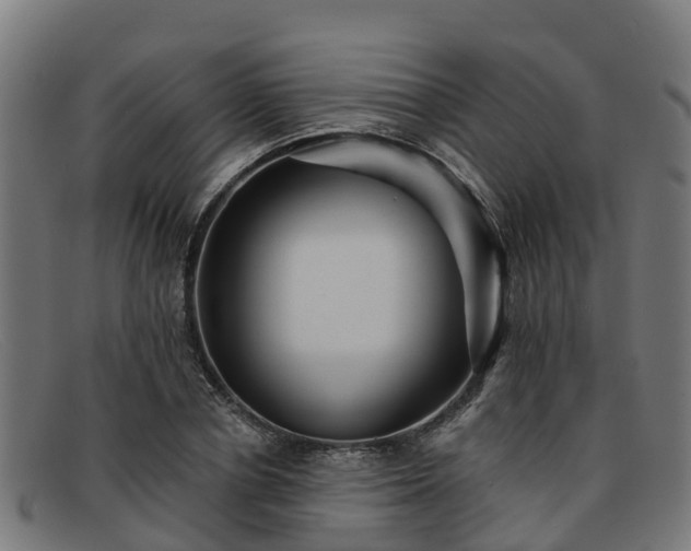 X0000091910834200709121515