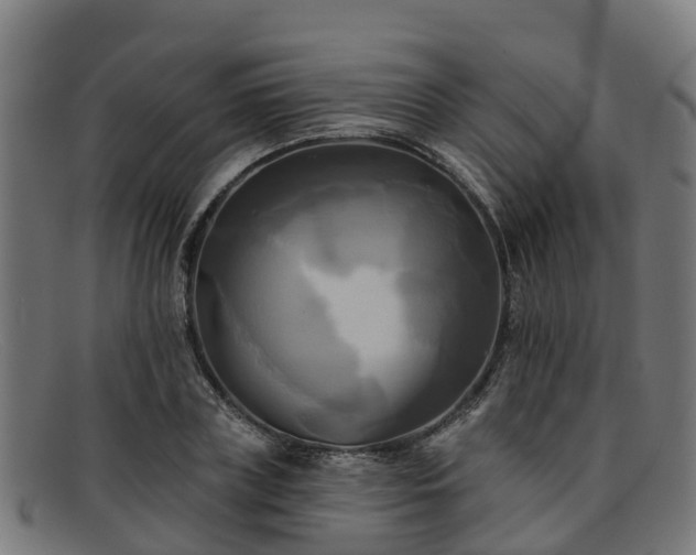 X0000091910835200709121515