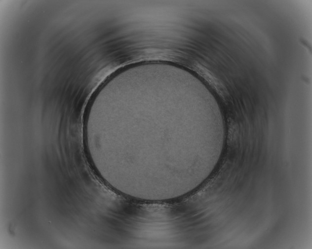 X0000091910836200709121515