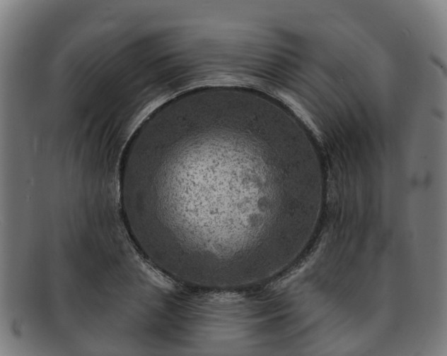 X0000091910837200709121515