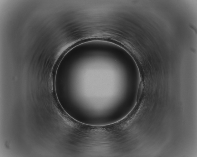 X0000091910838200709121516