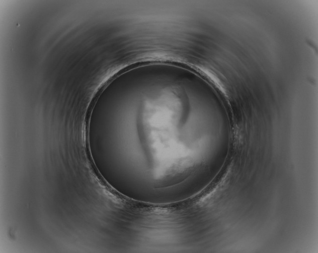 X0000091910839200709121516