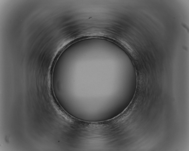 X0000091910840200709121516