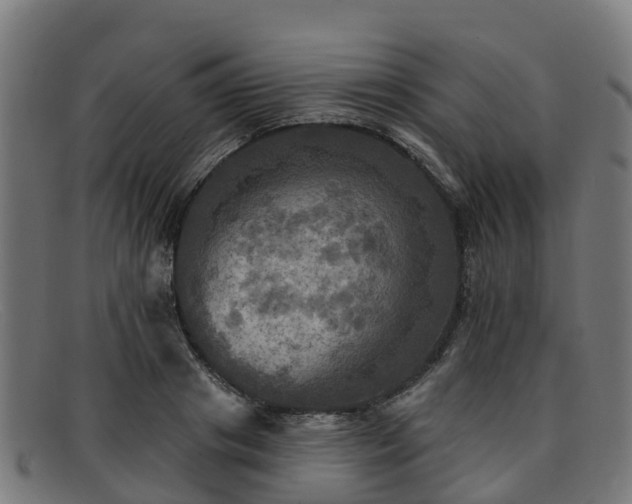 X0000091910841200709121516