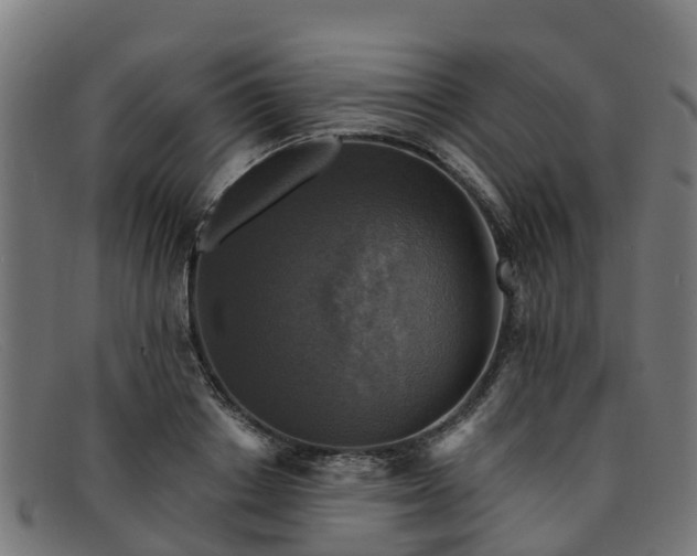 X0000091910842200709121516