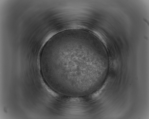 X0000091910843200709121516