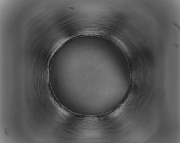 X0000091910844200709121516