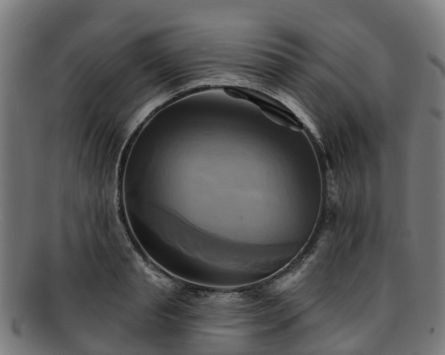 X0000091910845200709121516