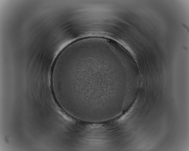 X0000091910846200709121516