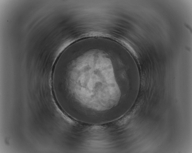 X0000091910847200709121516