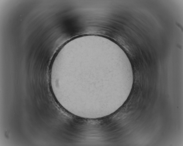 X0000091910848200709121516