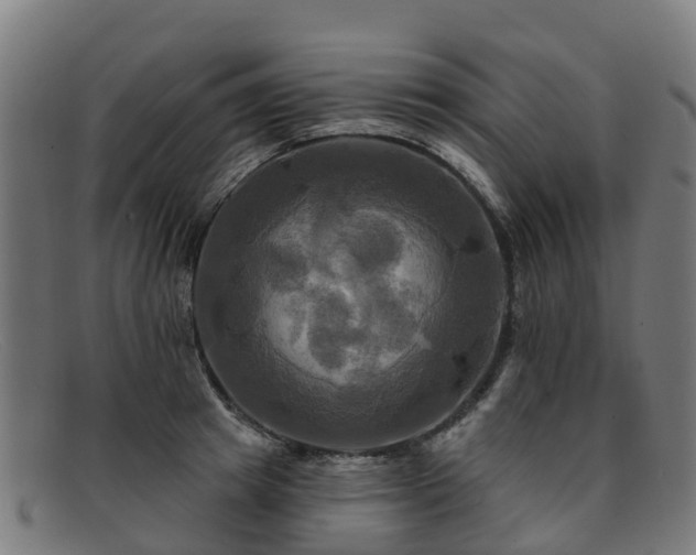 X0000091910849200709121516