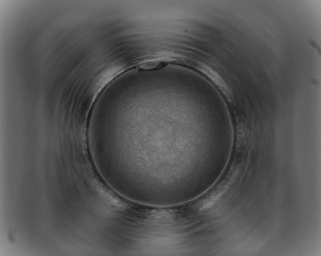 X0000091910850200709121516