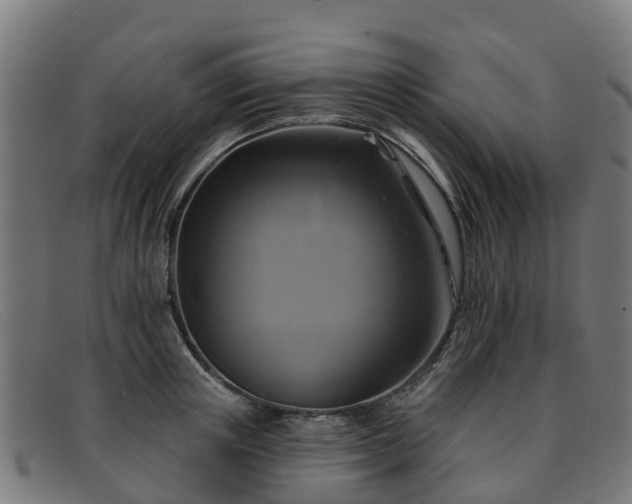 X0000091910851200709121516