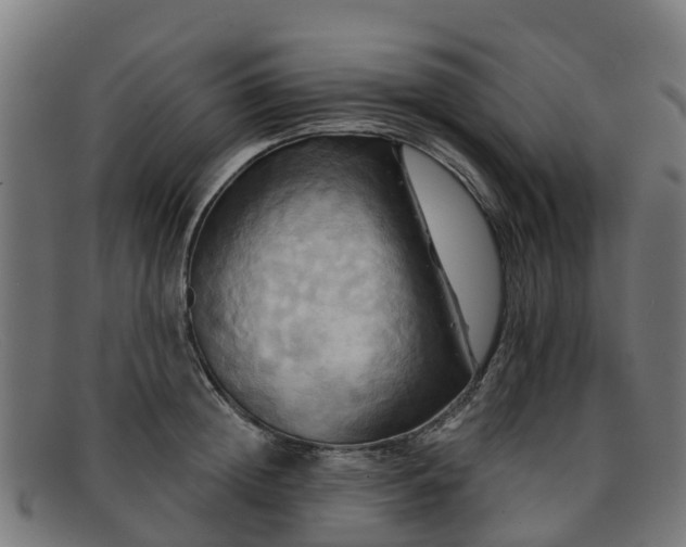 X0000091910852200709121516