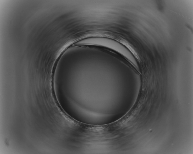 X0000091910853200709121516