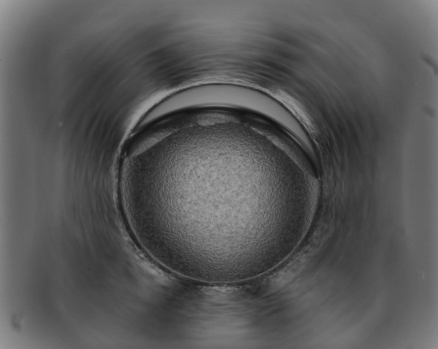 X0000091910854200709121516