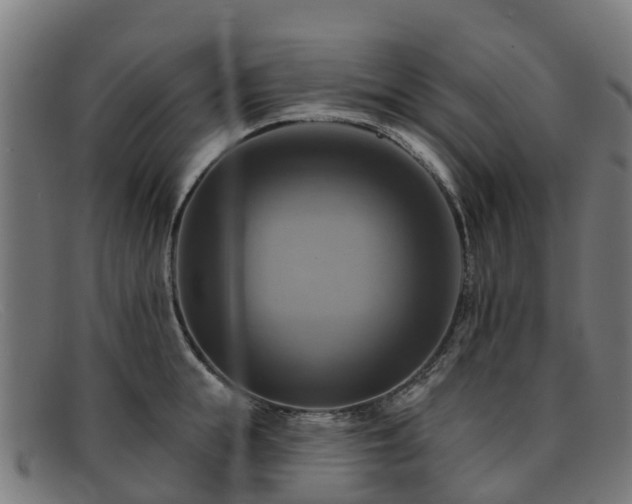 X0000091910855200709121516