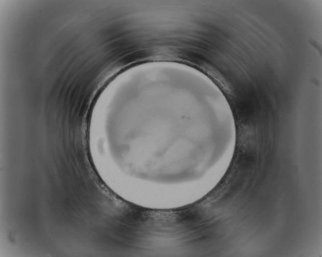 X0000091910856200709121516