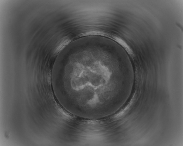 X0000091910857200709121516