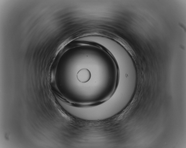 X0000091910858200709121516