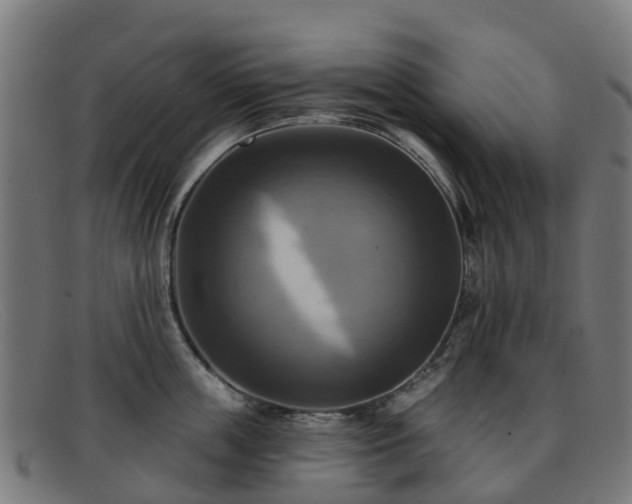 X0000091910859200709121516