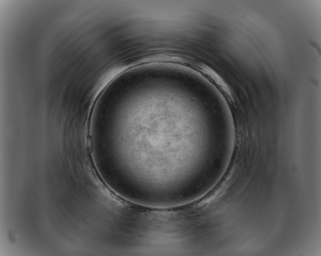 X0000091910860200709121516