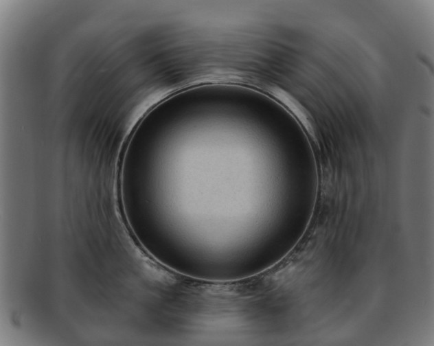 X0000091910861200709121516