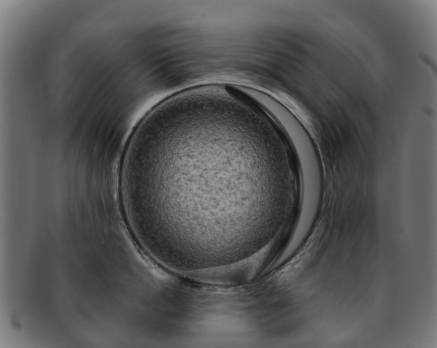 X0000091910862200709121516