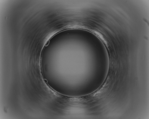 X0000091910863200709121516