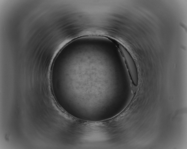 X0000091910864200709121516