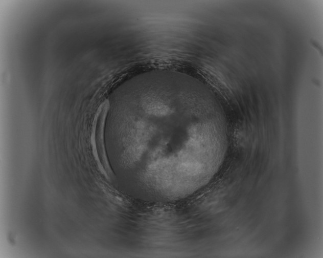 X0000091910865200709121515