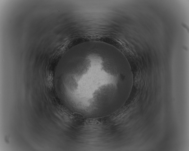 X0000091910866200709121515