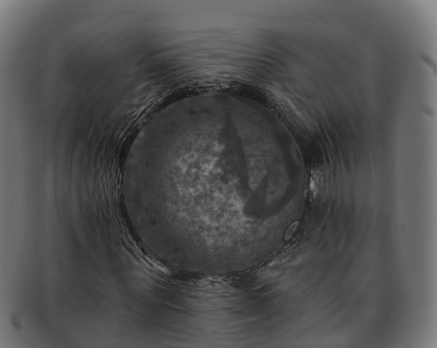 X0000091910867200709121515