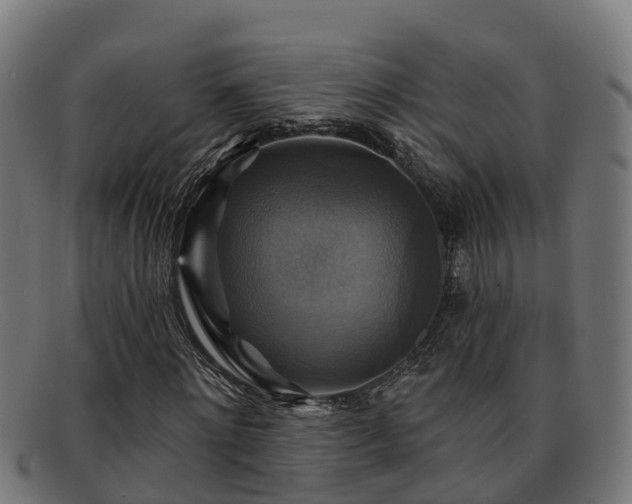 X0000091910868200709121515