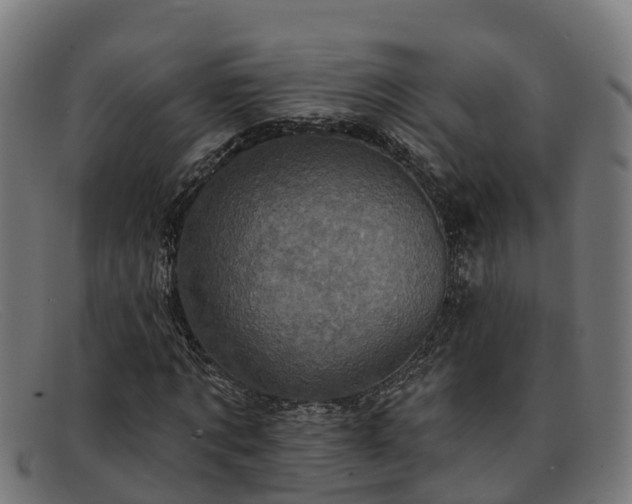 X0000091910869200709121515