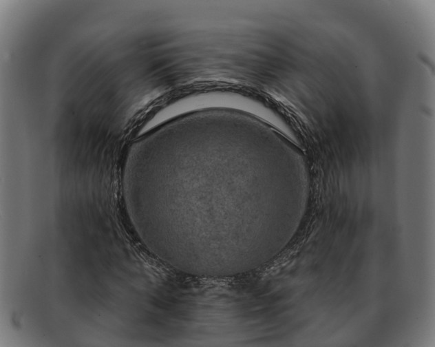 X0000091910870200709121515