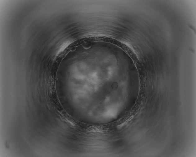 X0000091910871200709121515