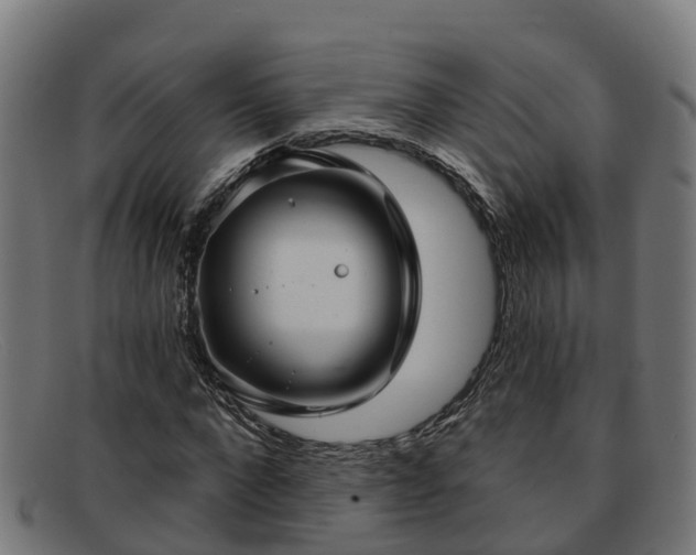 X0000091910872200709121515