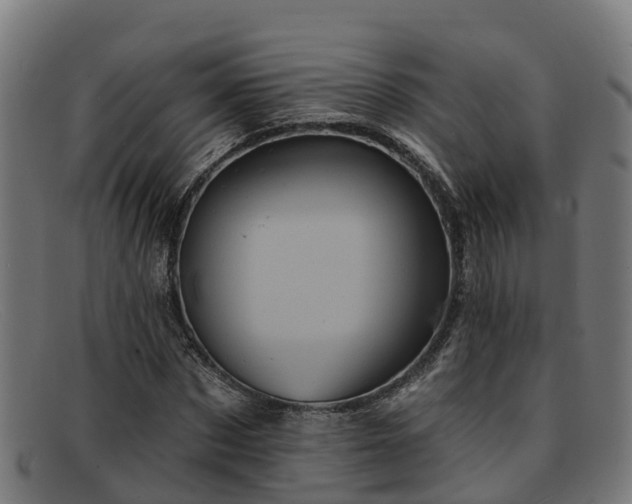 X0000091910873200709121515