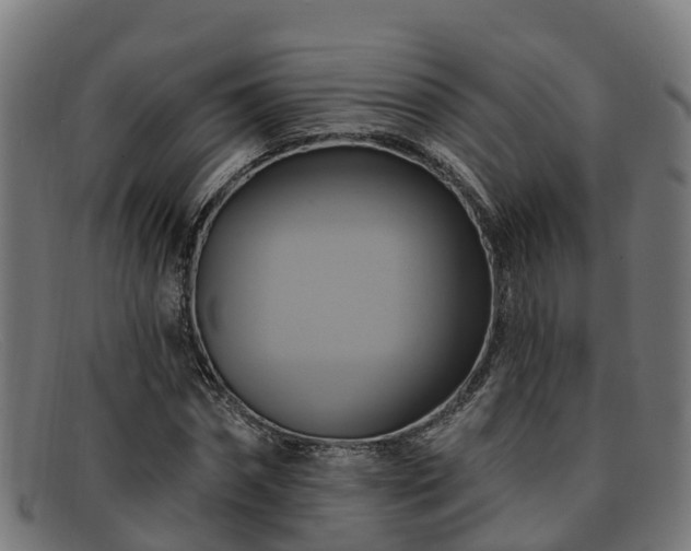 X0000091910874200709121515