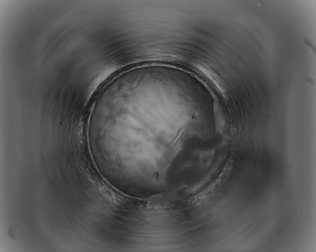 X0000091910875200709121515