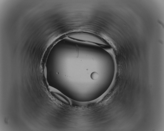 X0000091910876200709121515